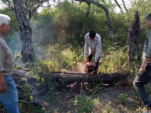 Sin fondos de la Ley de Bosques, en la provincia alertan por las consecuencias económicas y ambientales