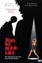 What's Love Got to Do with It (1993 film)