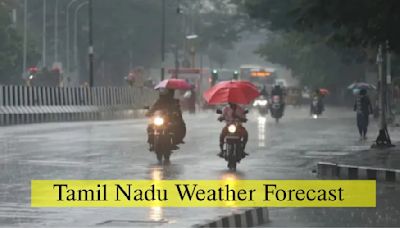 Tamil Nadu Weather Update: Yellow Alert For 6 Districts