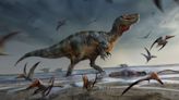 Europe's largest meat-eating dinosaur found on Isle of Wight