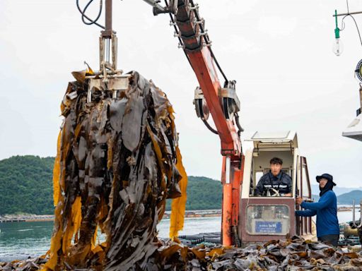 姚元浩赴韓國出任務 郭泓志餵食鮑魚畫面曝