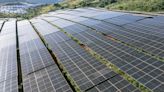 Can solar power be farmer-friendly? - BusinessWorld Online