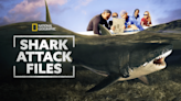 Shark Attack Files Season 1 Streaming: Watch & Stream Online via Disney Plus