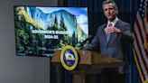 Here's a quick look at Newsom's proposal to balance the state budget