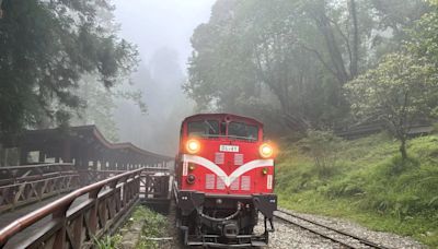 影/乘客注意！阿里山林鐵3支線路線清理完成 「明上午9點陸續復駛」