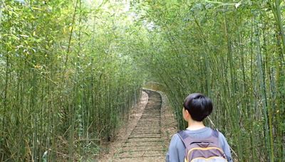 滿滿竹林包圍，敲響古道幸福鐘～苗栗鐘樓古道