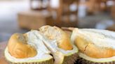 Durian season in full swing, but let’s not overindulge