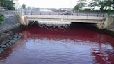 Japanese river turns blood red, alarming residents