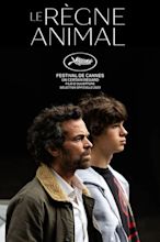The Animal Kingdom (2023) — The Movie Database (TMDB)