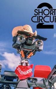 Short Circuit 2