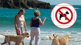 Beaches dog ban catches nearly 200 people out – don't be one of them