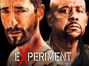 The Experiment - Cercasi cavie umane