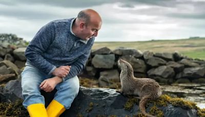 Billy & Molly: An Otter Love Story Streaming Release Date: When Is It Coming Out on Disney Plus and Hulu?