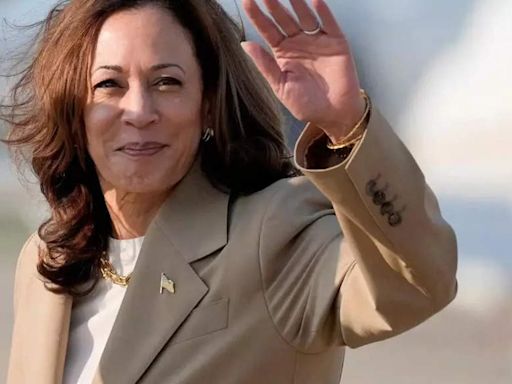 Indian-American fundraiser urges Kamala Harris to visit Chennai if elected as US president - The Economic Times