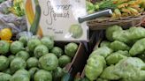 Time Is Ripe: Wide range of summer squash at East Bay farmers’ markets