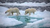 The Arctic could become 'ice-free' within a decade, sooner than projected, study says