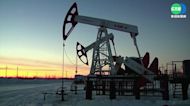 OPEC+每日減產200萬桶 盼促油價回升