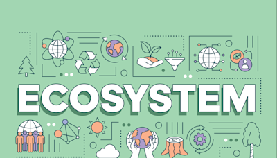 New ecosystems in paytech: how businesses benefit from open architecture