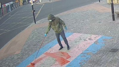 Image released of suspect after Pride flags vandalised in Newham