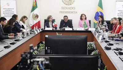 Qué dijo Félix Salgado Macedonio a legisladoras de Brasil sobre la paridad de género en México