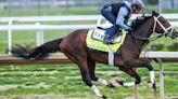 Kentucky Derby: How Field Size Influences Race Dynamics