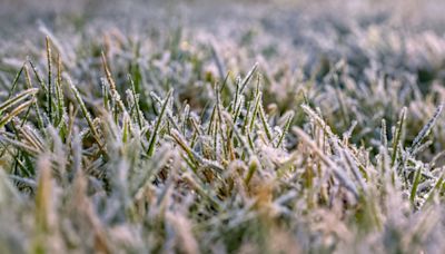 Chicago weather: Temperature drop followed by freeze watch for some parts