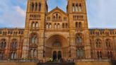 London: A family adventure at the Natural History Museum