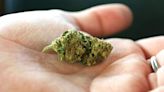 Doctors find 18-year-old marijuana stashed inside man's nose