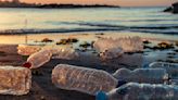 Could bacteria solve the world's plastic problem?