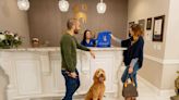 Luxury Pet Hotel K9 Resorts Opening 16K-SF Location in Dumbo