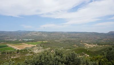 Convertir un incendio en un “bosque cortafuegos”: la restauración valenciana que se prepara para el próximo siniestro