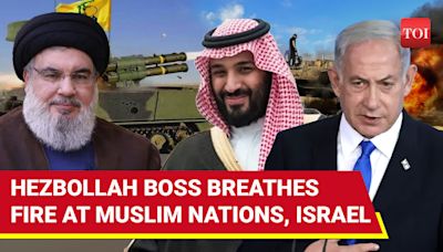 ...Hezbollah Has Rockets To...': Nasrallah's Ultimatum To Israel Over Gaza, Fumes At Muslim Nations | International - Times of...