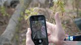 Greater Burlington community members assisting ecologist experts' research through smartphone app