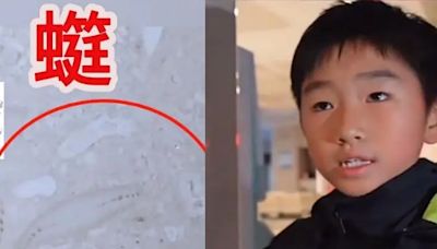 10歲小弟醫院牆上發現奇特痕跡 竟揪出「上億年前化石」！