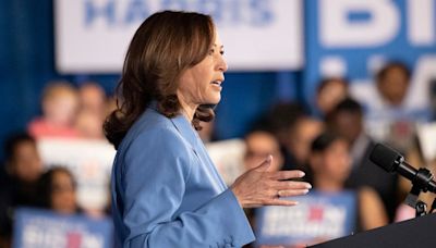 Democrats wrestle with whether Harris would be stronger than Biden