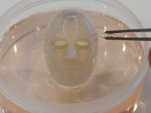 Say cheese: Japanese scientists make robot face ‘smile’ with living skin