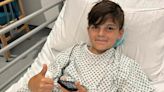 Hero boy bitten by savage XL Bully trying to protect younger siblings