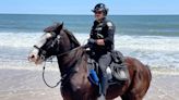 Get to know Buckshot, the newest Ocean City Police Department Mounted Unit member