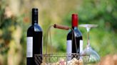 11 Best Wine Stocks To Buy Heading Into 2023