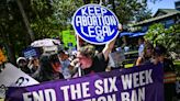 Republican's abortion pill bill could have sent in-law to jail for 10 years