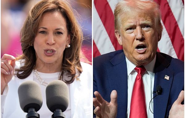 Harris-Trump latest presidential poll: More ‘intelligent’ candidate takes lead in crucial swing state