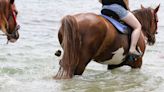 Does poop from horseback rides pollute the water?