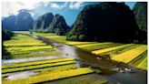 【專欄】水王神器開啟越南觀光國際化面紗─「陸龍灣」是「金剛」的故鄉？