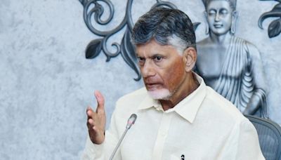 Chandrababu Naidu calls upon TDP cadre to hoist national flag at their houses on August 15