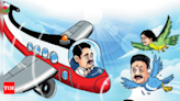 Taking wing or facing birdhit? | Chennai News - Times of India