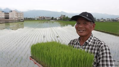 習引新詞「大食物觀」 民熱議