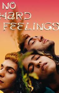 No Hard Feelings (2020 film)