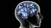 Los nuevos descubrimientos que cambian lo que sabemos sobre la importancia del tamaño del cerebro en la inteligencia humana