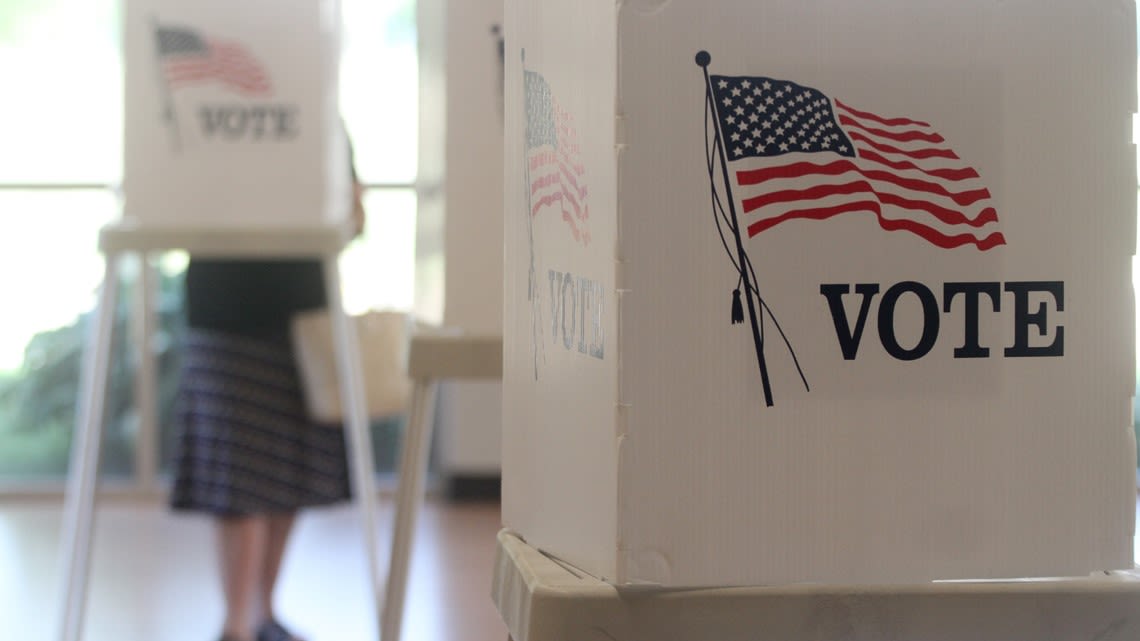 11Alive voter guide for Georgia May 21 primaries | Races for Congress, state legislature, local offices