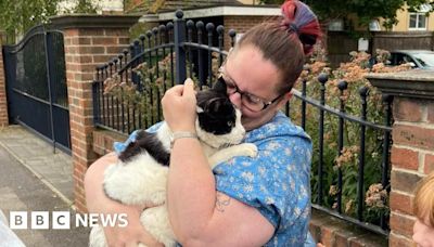 Bournemouth: Family's lost cat found after five years